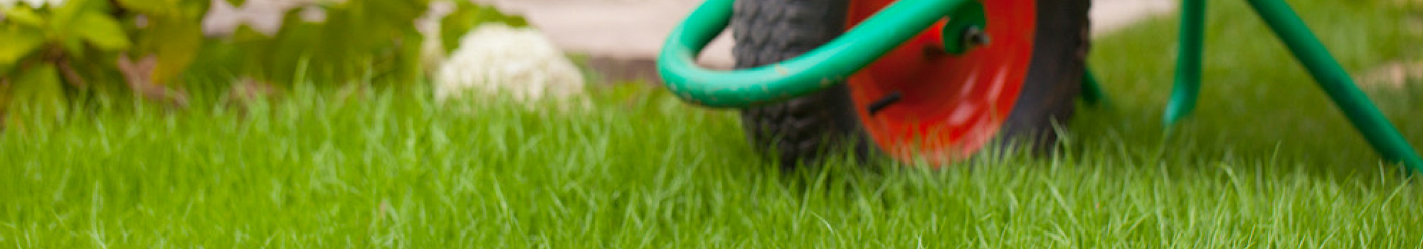 Mississauga |  Lawn Technicians Needed! - Featured Image